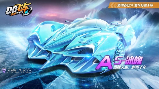 所在球队能 所在球队能